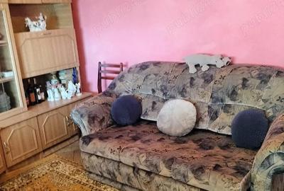 Apartament cu 2 camere decomandat în Aradul Nou - 1