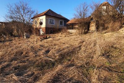 Spațiu comercial, în Feleacu - 3