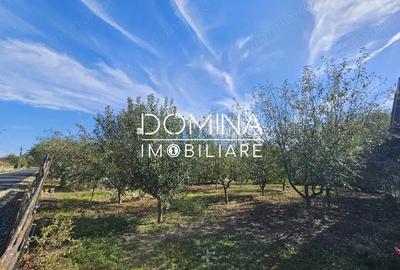 Teren de 308 mp, în Bălești - 4