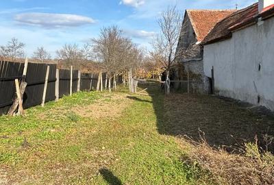 Casă cu 3 camere în Aciliu - 2