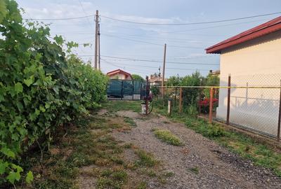 Darasti-Vlasca, Adunatii Copaceni Darasti-Vlasca, Adunatii Copaceni - 19