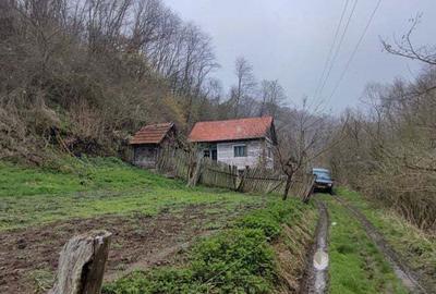 Casă cu 2 camere în Zam - 9