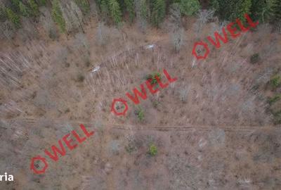 Spațiu comercial, în Dalnic - 6