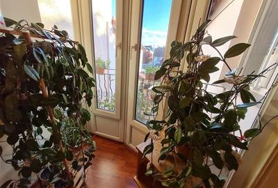 Pe incantare florala, casa cu 5 camere, curte individuala - Central, Brasov - 30