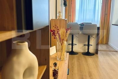 Garsonieră decomandată în Brazda lui Novac - 6