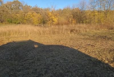 COMISION 0 | Teren intravilan | 709 mp | Zona UMT - 2