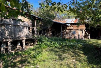 Casa veche cu teren generos com. Rosiile, Valcea - 3