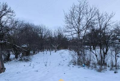 Teren de 1451 mp, în Podari - 5