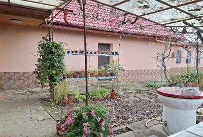 Casă cu Teren 1215 Mp în Movilița - 3
