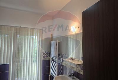Casa / Vila cu 7 camere de vanzare - 8