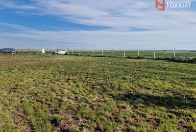 Teren agricol extravilan de 3500 mp, în Remetea Mare - 6