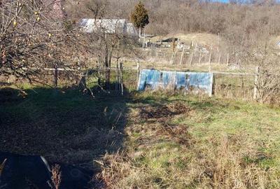 Vand casa la tara - 3