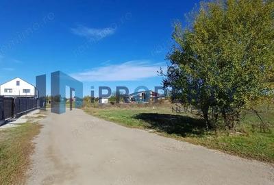 Corbeanca - Tamasi | Teren 1225mp, deschidere 44ml | Utilitati in proximitate - 13