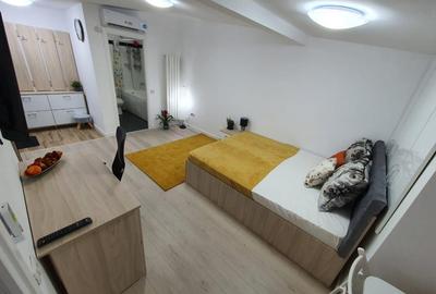 Garsoniera in Vila Parcul Carol | Mansarda - 5