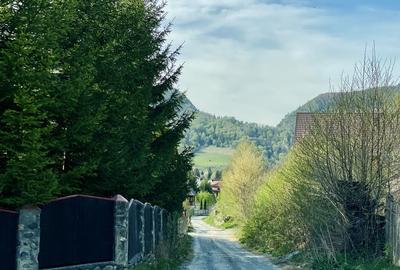 Teren panoramic insorit, utilitati, panta mica si padure, turism sau vacanta - 2