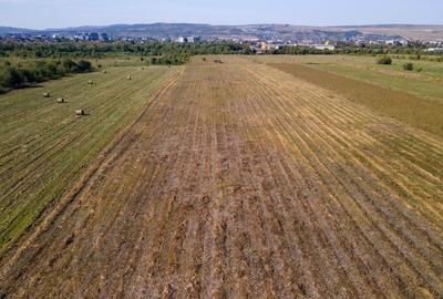 Teren intravilan, 2.800 m2, Cluj-Napoca - 4
