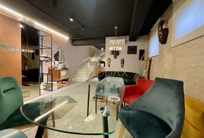 Duplex 3 camere//Birou***Showroom***DOMENII//PARTER+ Demisol - 3