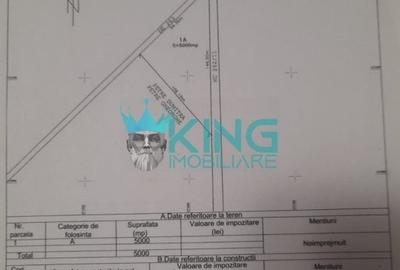 Teren agricol extravilan de 5000 mp, în Domnești