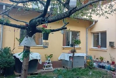 Casa si spatiu comercial Liceul 1MAI - 7