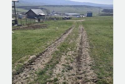 Teren de 1100 mp, în Ciurea