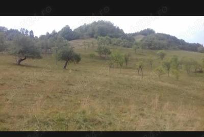 Casă cu 5 camere cu Teren 70000 Mp în Blăjeni - 2
