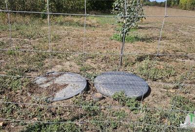 Teren stradal si intravilan 2431mp, P+1E+Pod,Magurele, Ilfov Teren stradal si intravilan 2431mp, P+1E+Pod,Magurele, Ilfov - 2