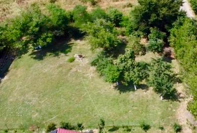 Teren 1000mp, 26mp deschidere, langa Paradisul Verde, cu utilitati, gard, copaci Teren 1000mp, 26mp deschidere, langa Paradisul Verde, cu utilitati, gard, copaci - 2