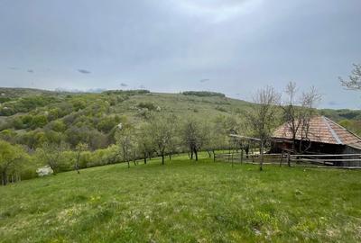 Casă cu 2 camere în Bătrâna - 8