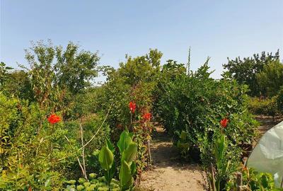 Casă cu 3 camere în Lugoj - 3