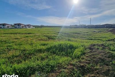 Teren de 500 mp, în Bârnova - 3