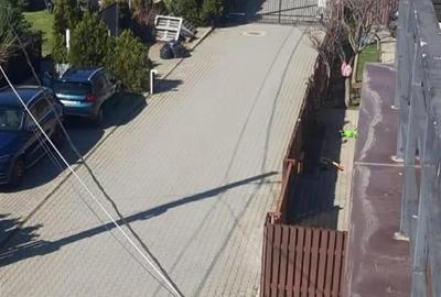 Casa Tip  Cuplata P+1+M de vanzare Chiajna - 5