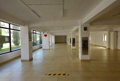 Spatiu stradal de inchiriat - 400 mp - Curtea de Arges - 2