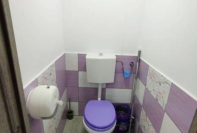 Casa individuala S+P+M cu teren 1723 mp, zona linistita, in Grigorescu - 15