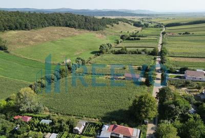 Teren de 3500 mp, în Bogdănești - 8