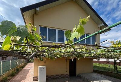 Noul tau camin! CE1124 - 1