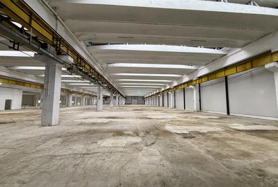 Spațiu industrial, în Mârșa - 1