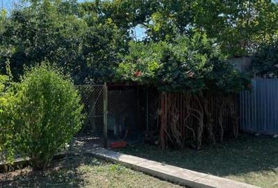Casa de vanzare in Mogosoaia strada 8 Martie - 17