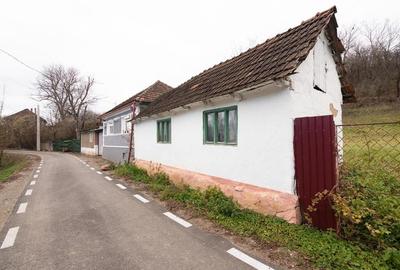 RECO Casa de vacanta la Holod- langa padure- teren 2190mp - 35