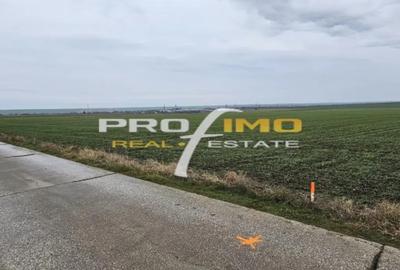 Teren de 4200 mp, în Corbu - 1