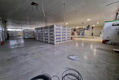 Spațiu comercial, de 1,400 mp, în Lugojului - 8