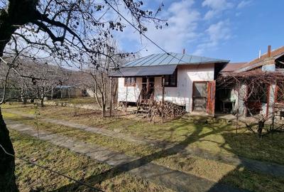 Valenii de Munte |Carbunesti | Casa cu 3 camere | Zona superba| - 14
