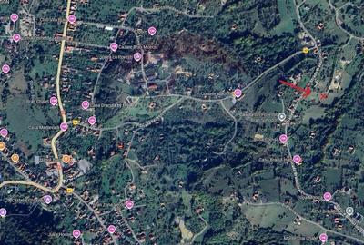 Comision 0% | Teren intravilan | 2500 mp | Sohodol - 9