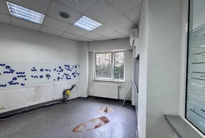 Inchiriere spatiu comercial Herastrau Nordului - 10