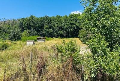 Spațiu comercial, în Enculești - 3