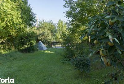 Casă cu 4 camere cu Teren 1294 Mp în Snagov - 4
