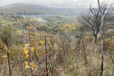 Teren extravilan 787 mp in zona Somosoldal - 1