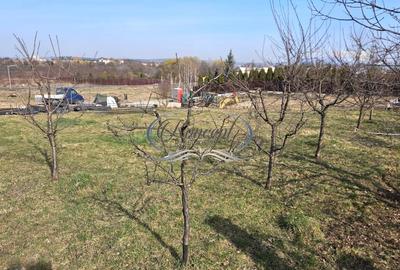 Teren Construcții intravilan de 807 mp, în Bună Ziua - 2