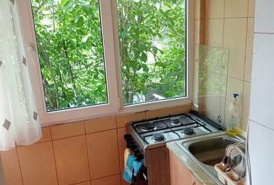 Apartament cu 3 camere decomandat în Valea Rosie - 3