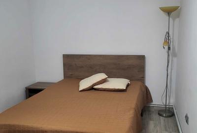 Apartament cu 2 camere semidecomandat în Aleea Carpați - 7