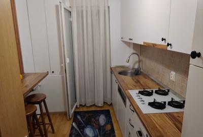 Apartament cu 2 camere decomandat în Valea Lupului - 3